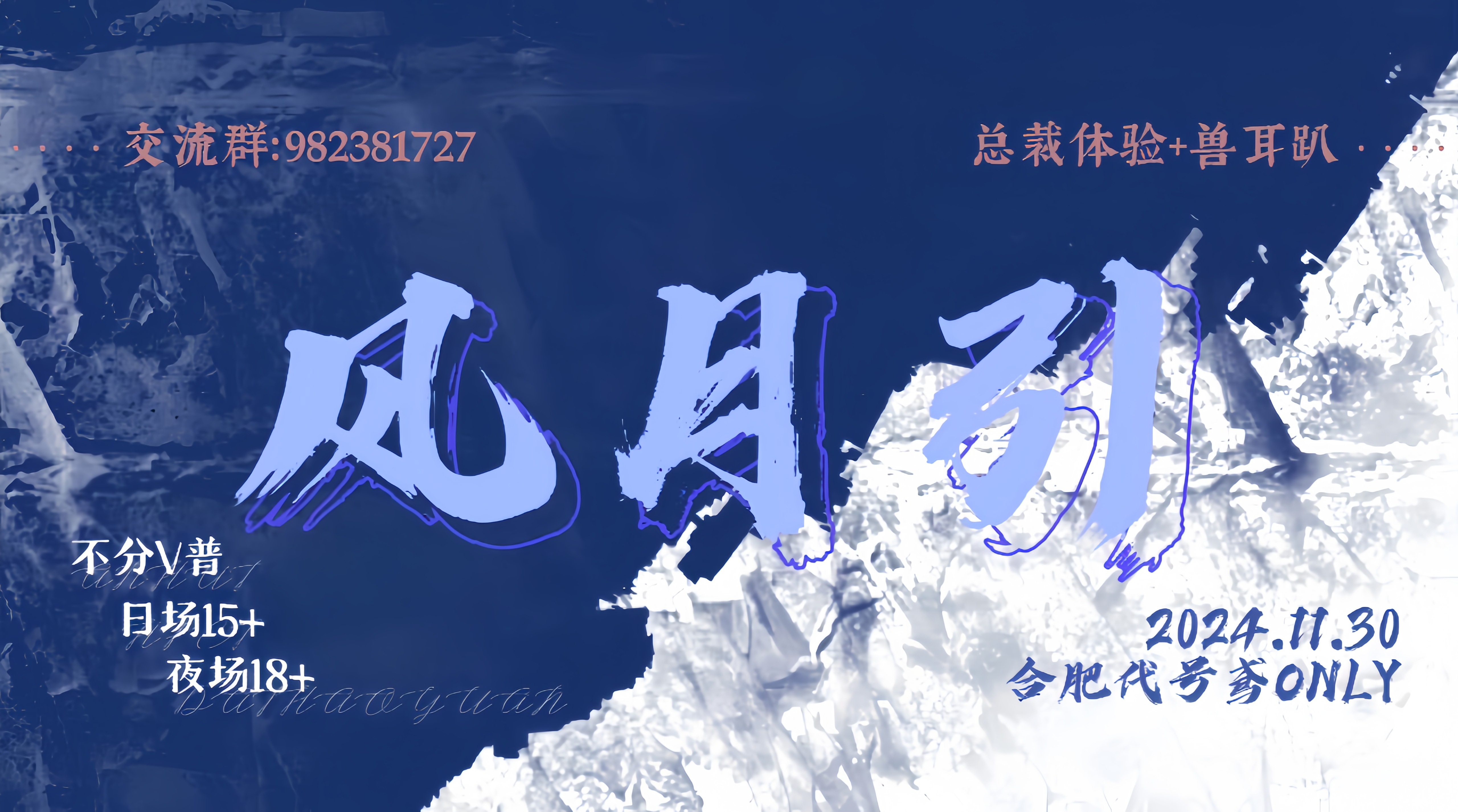 风月引合肥代号鸢only