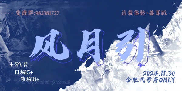 风月引合肥代号鸢only