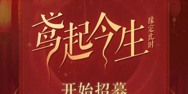 鸢起今生代号鸢only