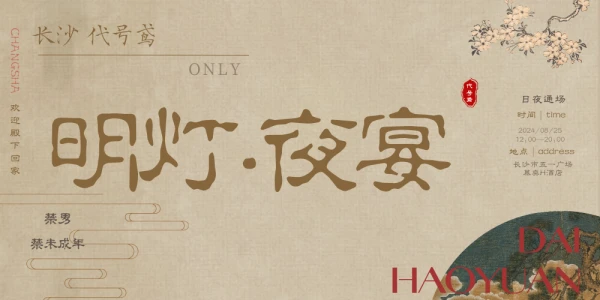 长沙明灯夜宴代号鸢ONLY