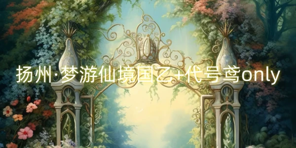 梦游仙境国乙+代号鸢only