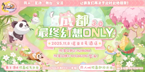 成都最终幻想ONLY3.0