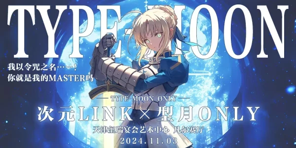 天津·次元LINK·型月ONLY