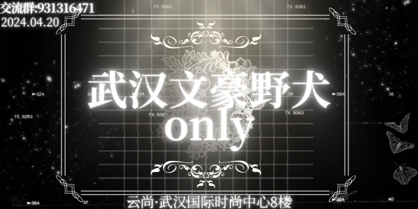 武汉文豪野犬only