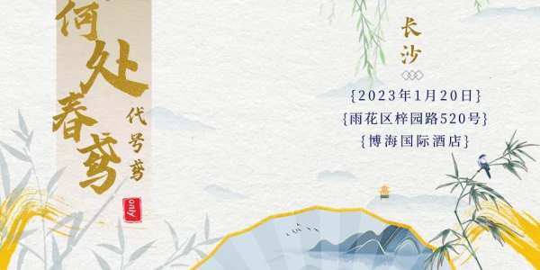 何处春鸢长沙代号鸢Only